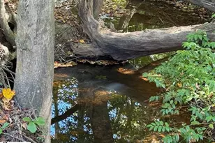 585 Mountain Creek Rd, Greenville, SC 29609 - Photo 37