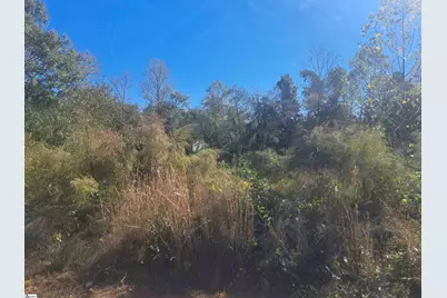 64 Juneau Court, Greenville, SC 29605 - Photo 5