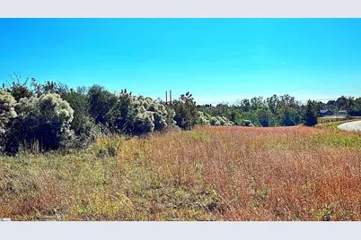 00 Riverfork Road, Waterloo, SC 29384 - Photo 3