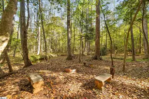 301 Cardinal Dr, Greenville, SC 29609 - Photo 45