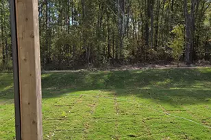 334 Alyssa Lndg Dr, Fountain Inn, SC 29644 - Photo 11