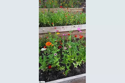 146 Bellecrest Lane, Greenville, SC 29607 - Photo 43