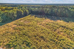 2467 Battleground Rd, Cowpens, SC 29330 - Photo 23