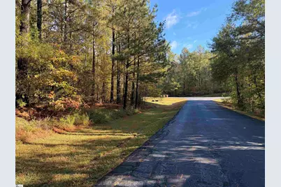 102 Flamingo Point, Cross Hill, SC 29332 - Photo 9