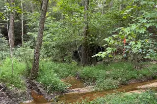 210 Graystone Rd, Jonesville, SC 29353 - Photo 21