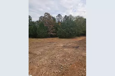 1036 Fleming Street Extension, Laurens, SC 29360 - Photo 5