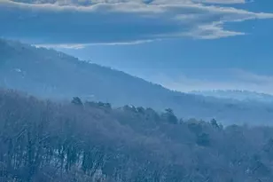 19 Tropicana Ct, Greenville, SC 29609 - Photo 49