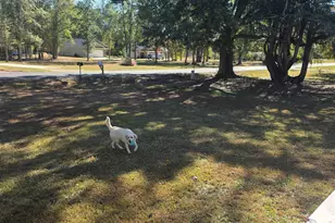 608 Belton Hwy, Williamston, SC 29697 - Photo 17