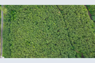 00 Shrine Club Road, Waterloo, SC 29384 - Photo 5