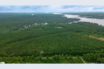 00 Shrine Club Road, Waterloo, SC 29384 - Photo 7