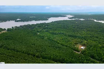 00 Shrine Club Road, Waterloo, SC 29384 - Photo 11