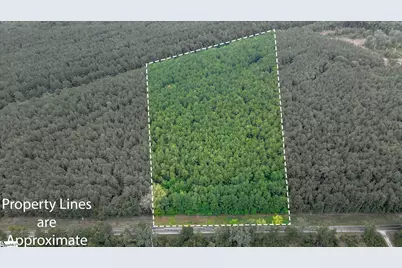 00 Shrine Club Road, Waterloo, SC 29384 - Photo 1