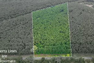 00 Shrine Club Rd, Waterloo, SC 29384 - Photo 1