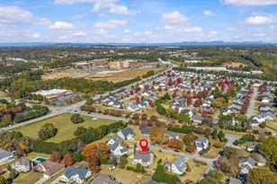 3 European Plum Ct, Simpsonville, SC 29681 - Photo 39