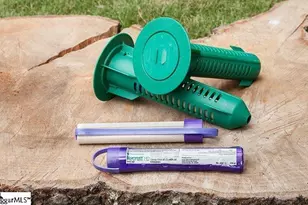 418 Barbican Pl, Greenville, SC 29605 - Photo 31