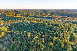 1907 Mountain Creek Church Rd, Starr, SC 29684 - Photo 29