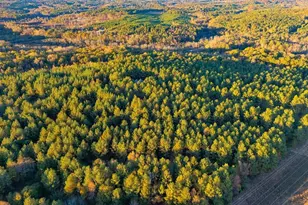 1907 Mountain Creek Church Rd, Starr, SC 29684 - Photo 25