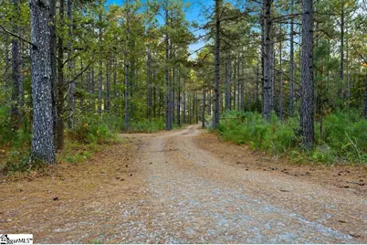 1907 Mountain Creek Church Road, Starr, SC 29684 - Photo 7
