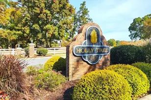 301 Sagramore Ln, Simpsonville, SC 29681 - Photo 49