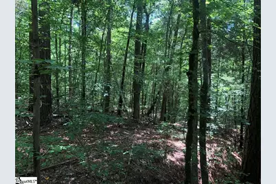 0 Dogwood Lane, Abbeville, SC 29620 - Photo 19