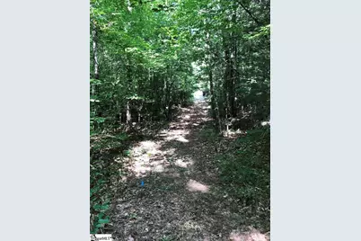 0 Dogwood Lane, Abbeville, SC 29620 - Photo 23