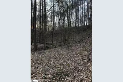 0 Dogwood Lane, Abbeville, SC 29620 - Photo 7