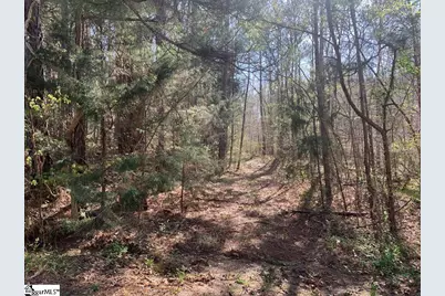 0 Dogwood Lane, Abbeville, SC 29620 - Photo 9