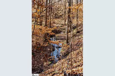 0 Dogwood Lane, Abbeville, SC 29620 - Photo 25