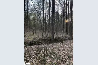 0 Dogwood Lane, Abbeville, SC 29620 - Photo 17