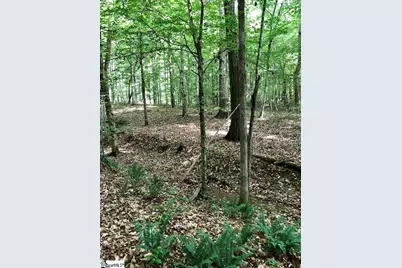 0 Dogwood Lane, Abbeville, SC 29620 - Photo 13