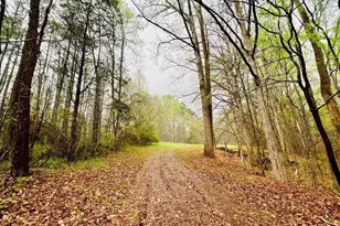 10 Cross St, Abbeville, SC 29620 - Photo 1