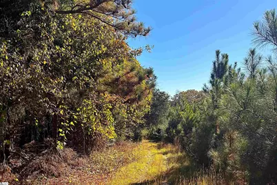 45 Deer Meadows Road, Laurens, SC 29360 - Photo 7