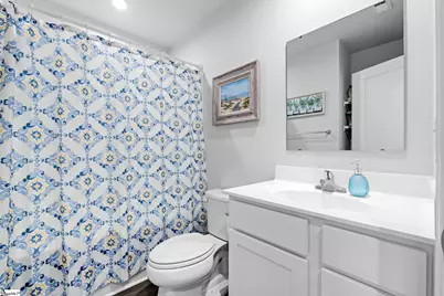 317 Cinerea Way, Greer, SC 29651 - Photo 21