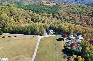 101 Cabernet Way, Travelers Rest, SC 29690 - Photo 41