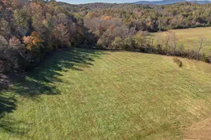 10105 E Nc Hwy 108, Mill Spring, NC 28756 - Photo 35