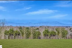 49 Sunriff CT, Greer, SC 29651 - Photo 5