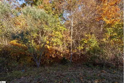 268 Chapel Hill Lane, Simpsonville, SC 29681 - Photo 45