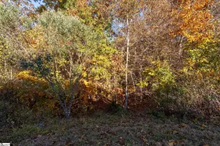 268 Chapel Hill Ln, Simpsonville, SC 29681 - Photo 45