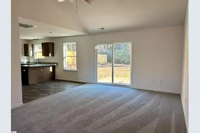 223 Kahlen Court, Gantt, SC 29673 - Photo 3