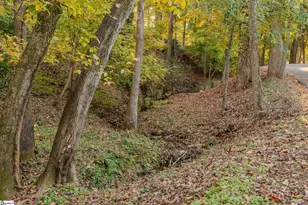 17 Sylvan Dr, Greenville, SC 29605 - Photo 41