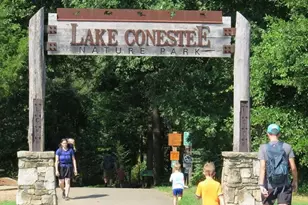 15 Merganser Ct, Greenville, SC 29607 - Photo 15