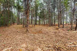 Tract 4 Hwy 178, Anderson, SC 29621 - Photo 5