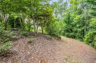 940 Hugh Champion Rd, Tryon, NC 28782 - Photo 7