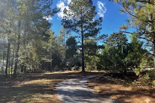 859 Cooper Bridge Rd, Fountain Inn, SC 29644 - Photo 47