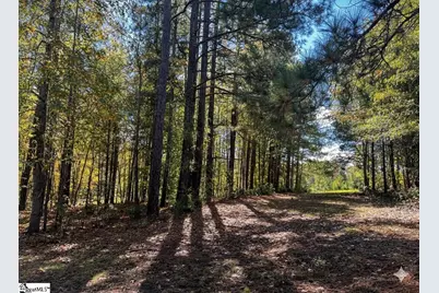 859 Cooper Bridge Road, Fountain Inn, SC 29644 - Photo 45