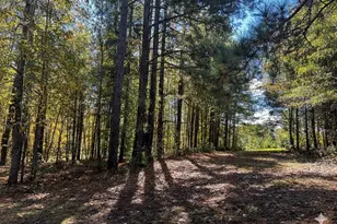 859 Cooper Bridge Rd, Fountain Inn, SC 29644 - Photo 45