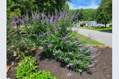 306 Fairdale Drive, Simpsonville, SC 29681 - Photo 31