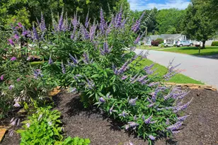 306 Fairdale Dr, Simpsonville, SC 29681 - Photo 31