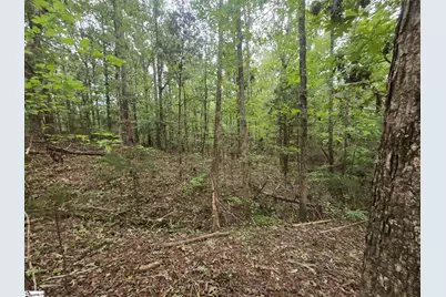 1206 Cheek Circle, Gray Court, SC 29645 - Photo 3