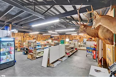 4033 Geer Highway, Cleveland, SC 29635 - Photo 9